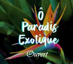 O paradis Exotique-logo