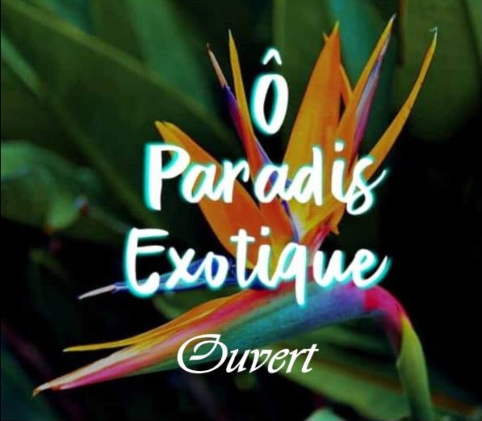 O paradis Exotique-logo